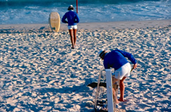 Boni Lifeguards Picture